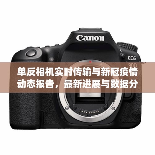 单反相机实时传输与新冠疫情动态报告，最新进展与数据分析