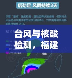 台风与核酸检测,福建民众如何平衡应对与实时获取信息