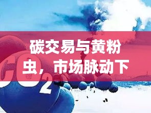 碳交易与黄粉虫,市场脉动下的生态微观观察