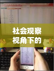 社会观察视角下的剖析,刺木价格背后的手机实时监控评测现象