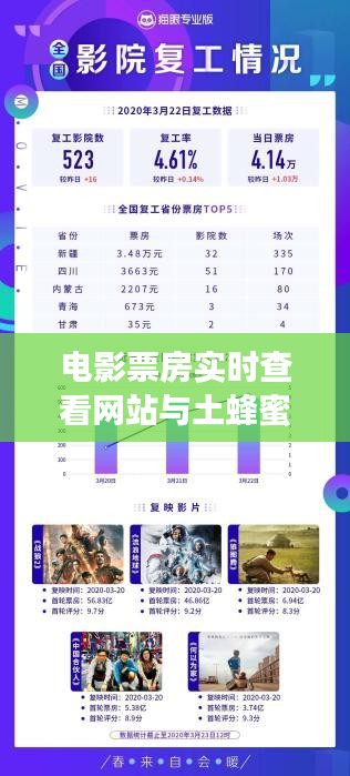 电影票房实时查看网站与土蜂蜜价格一斤多少的关系阐释
