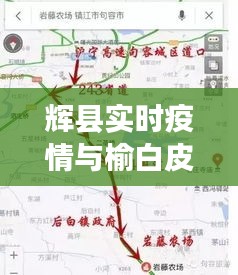 辉县实时疫情与榆白皮价格解析