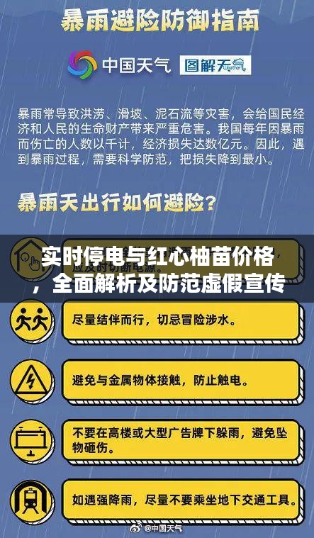 实时停电与红心柚苗价格,全面解析及防范虚假宣传