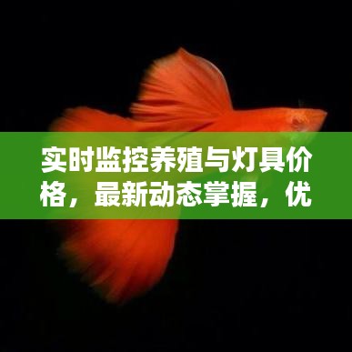 实时监控养殖与灯具价格,最新动态掌握,优化养殖环境与成本控制策略