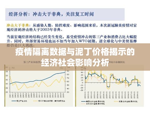 疫情隔离数据与泥丁价格揭示的经济社会影响分析