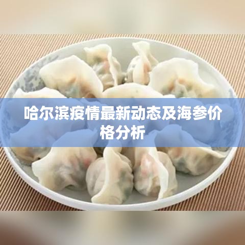 哈尔滨疫情最新动态及海参价格分析