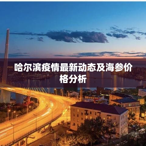 哈尔滨疫情最新动态及海参价格分析