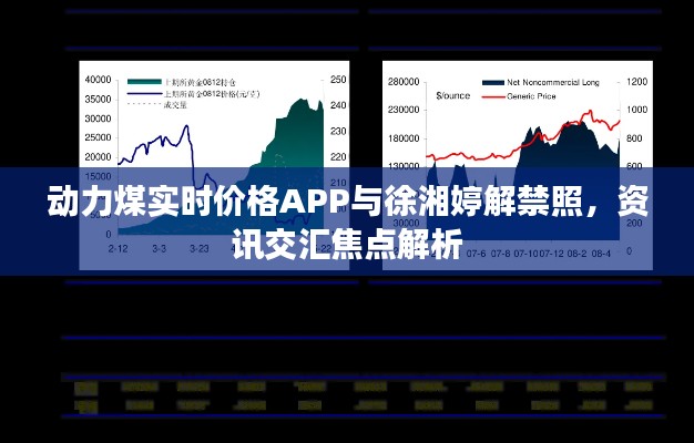 动力煤实时价格APP与徐湘婷解禁照,资讯交汇焦点解析