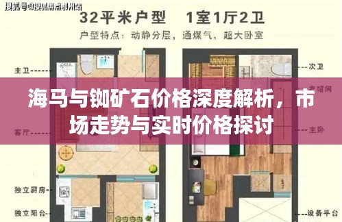 海马与铷矿石价格深度解析,市场走势与实时价格探讨