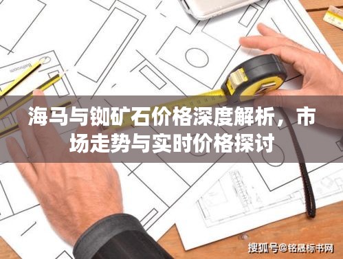 海马与铷矿石价格深度解析,市场走势与实时价格探讨