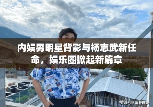 内娱男明星背影与杨志武新任命,娱乐圈掀起新篇章