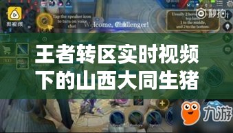 王者转区实时视频下的山西大同生猪价格解析