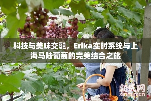 科技与美味交融，Erika实时系统与上海马陆葡萄的完美结合之旅