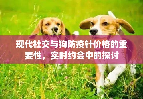 现代社交与狗防疫针价格的重要性,实时约会中的探讨