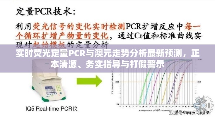 实时荧光定量PCR与澳元走势分析最新预测，正本清源、务实指导与打假警示