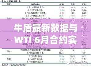 牛盾最新数据与WTI 6月合约实时价格深度解析及观察
