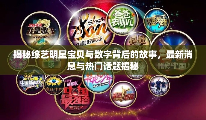 揭秘综艺明星宝贝与数字背后的故事，最新消息与热门话题揭秘