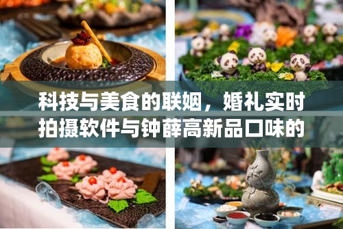 科技与美食的联姻,婚礼实时拍摄软件与钟薛高新品口味的完美结合
