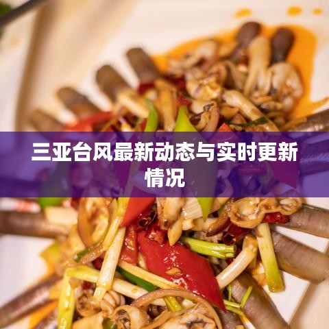 三亚台风最新动态与实时更新情况