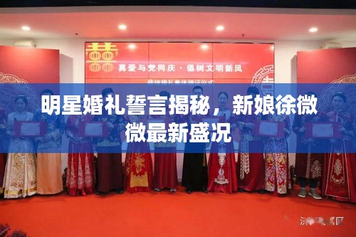 明星婚礼誓言揭秘,新娘徐微微最新盛况